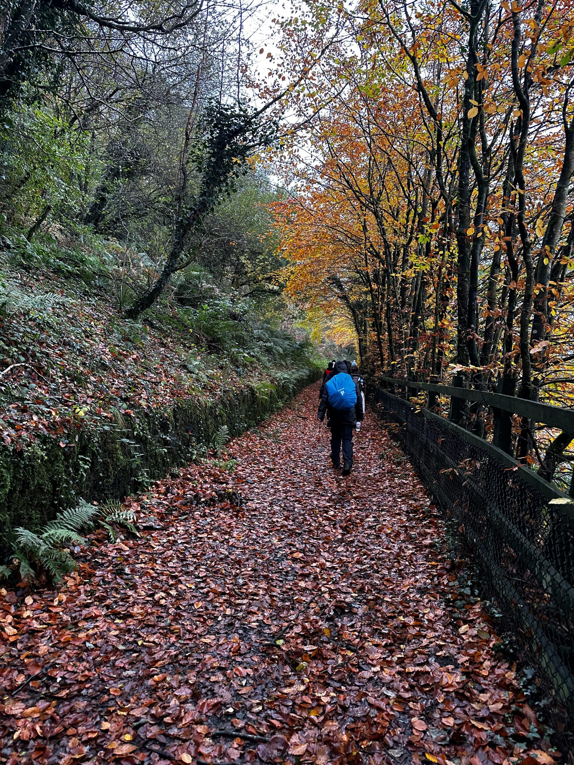 hiking χειμώνας